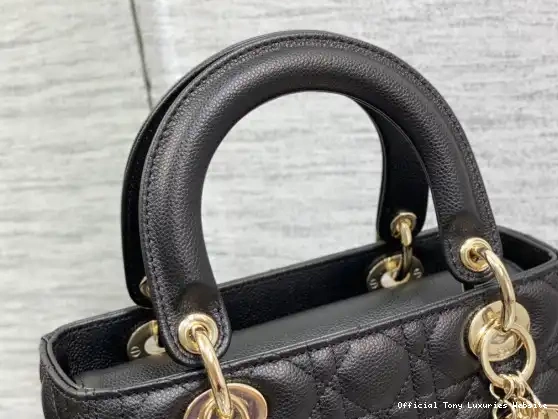 Tony Luxuries diro Lady large Calfskin-24cm Glod 0522